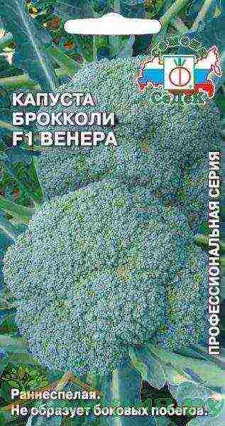 the best varieties of broccoli for the Moscow region