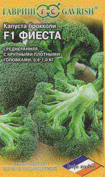 ang pinakamahusay na mga pagkakaiba-iba ng broccoli para sa rehiyon ng Moscow