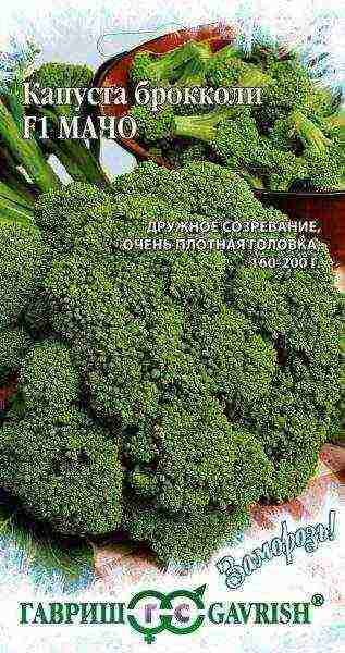 the best varieties of broccoli for the Moscow region