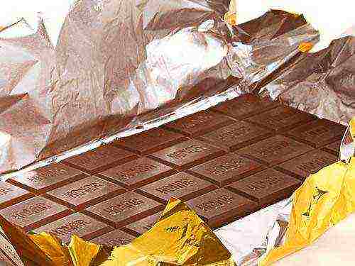 the best varieties of dark chocolate