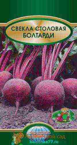 ang pinakamahusay na mga varieties para sa siberia beets