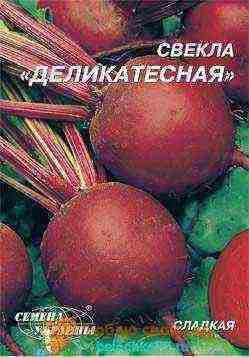 the best varieties for siberia beets