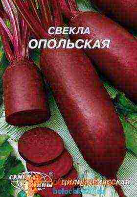 the best varieties for siberia beets