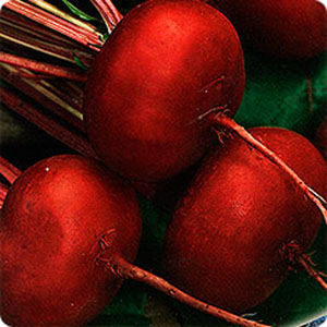 ang pinakamahusay na mga varieties para sa siberia beets