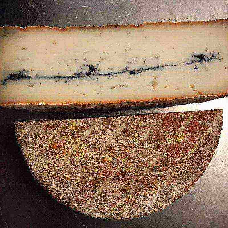 the best varieties of French cheeses