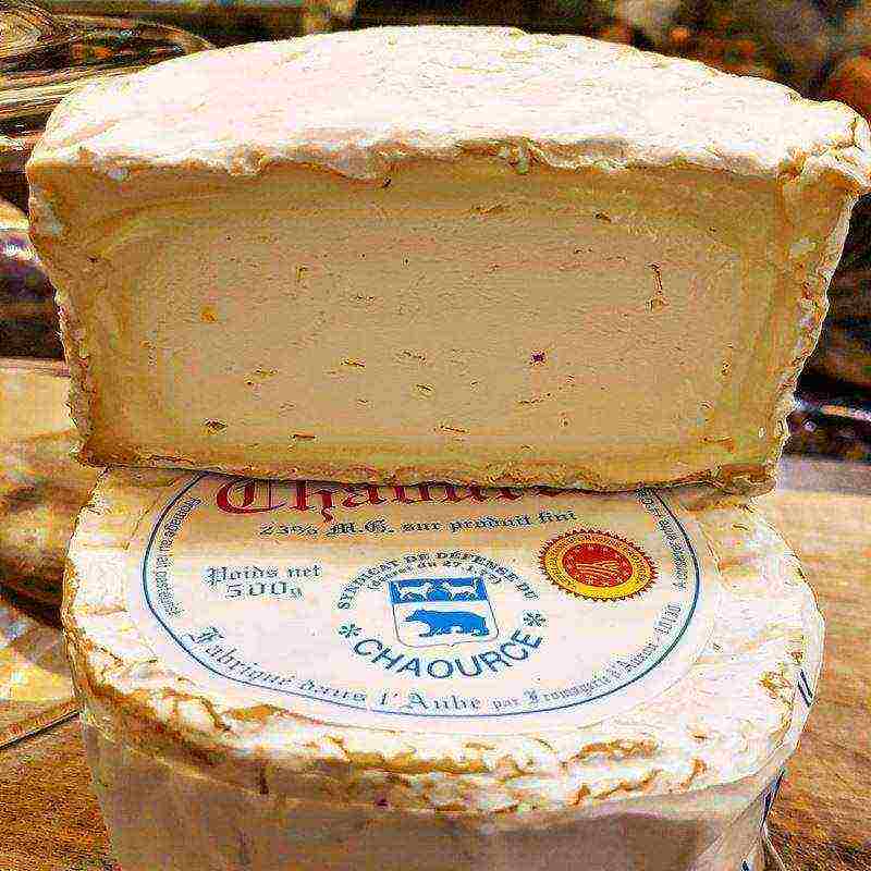 ang pinakamahusay na mga pagkakaiba-iba ng mga French cheeses