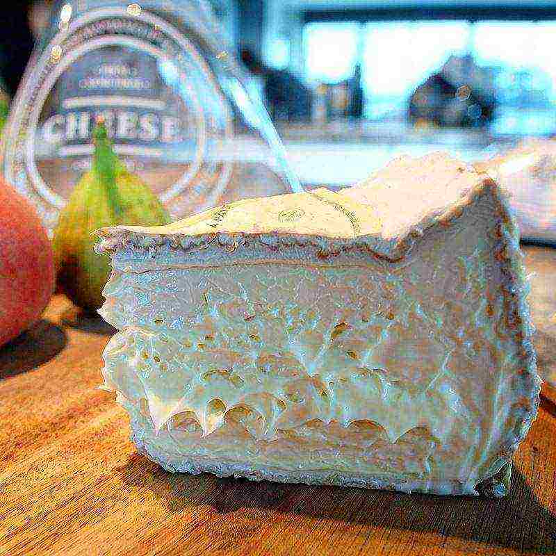 the best varieties of French cheeses