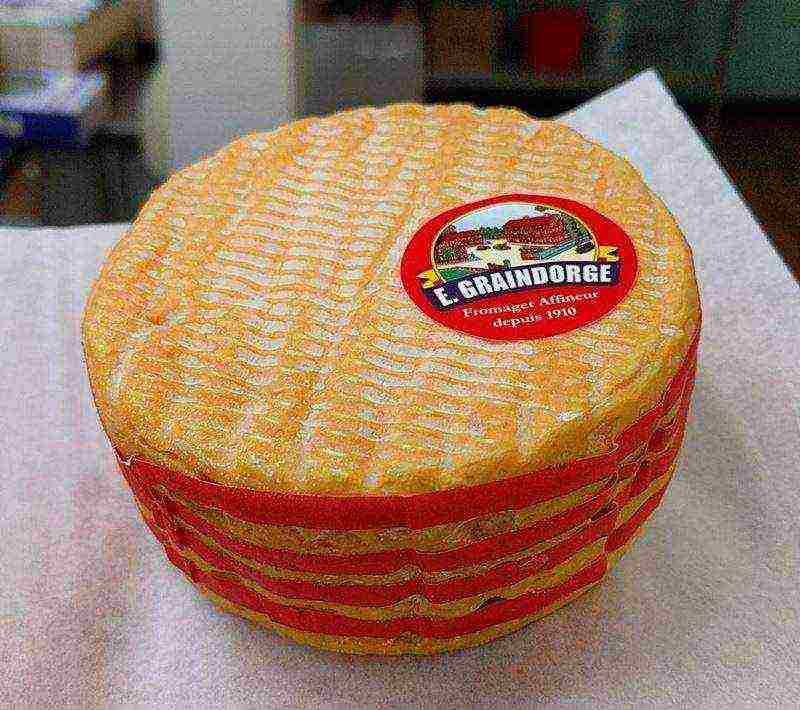 ang pinakamahusay na mga pagkakaiba-iba ng mga French cheeses