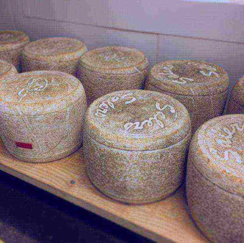 the best varieties of French cheeses