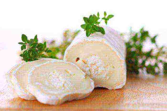 the best varieties of French cheeses