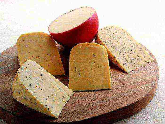 the best varieties of French cheeses