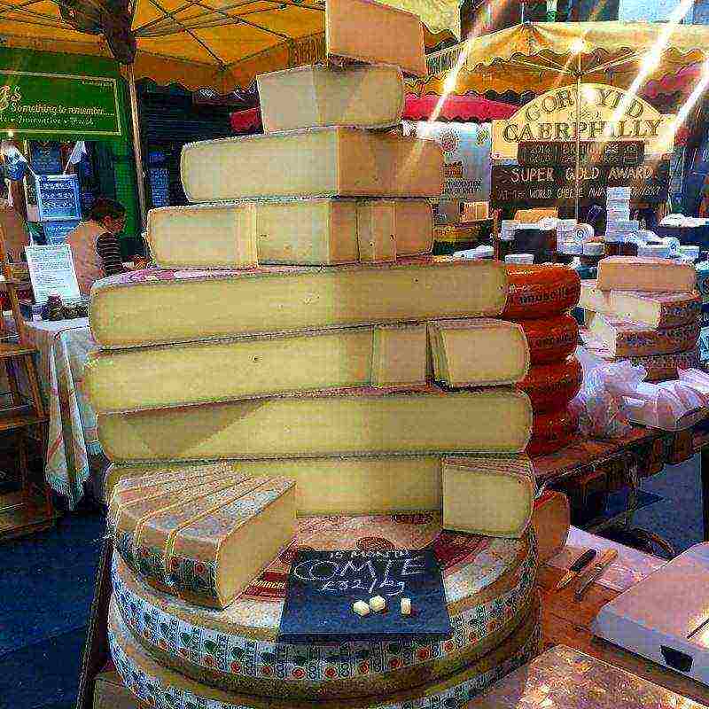 the best varieties of French cheeses