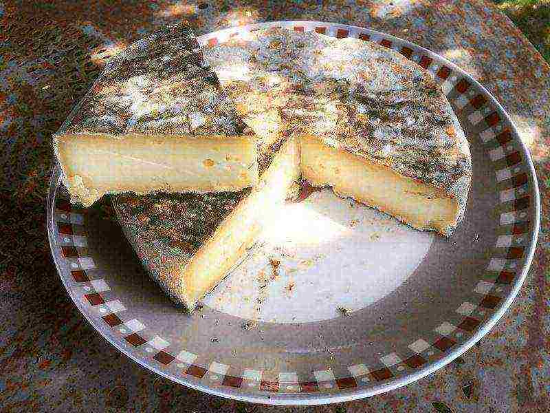 the best varieties of French cheeses