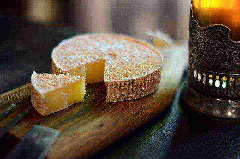 the best varieties of French cheeses