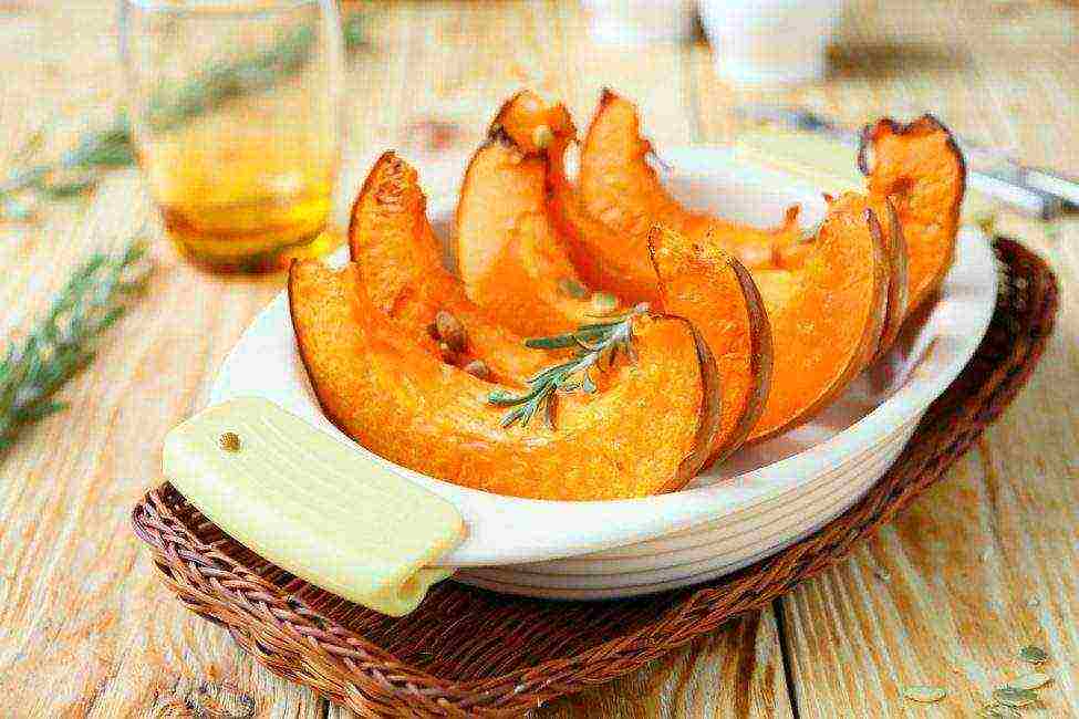 the best varieties of gymnospermous pumpkin