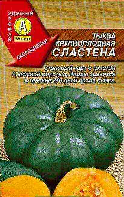 the best varieties of gymnospermous pumpkin