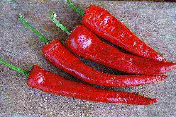 ang pinakamahusay na mga pagkakaiba-iba ng mainit na peppers