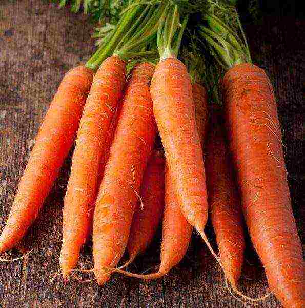the best varieties of granulated carrots