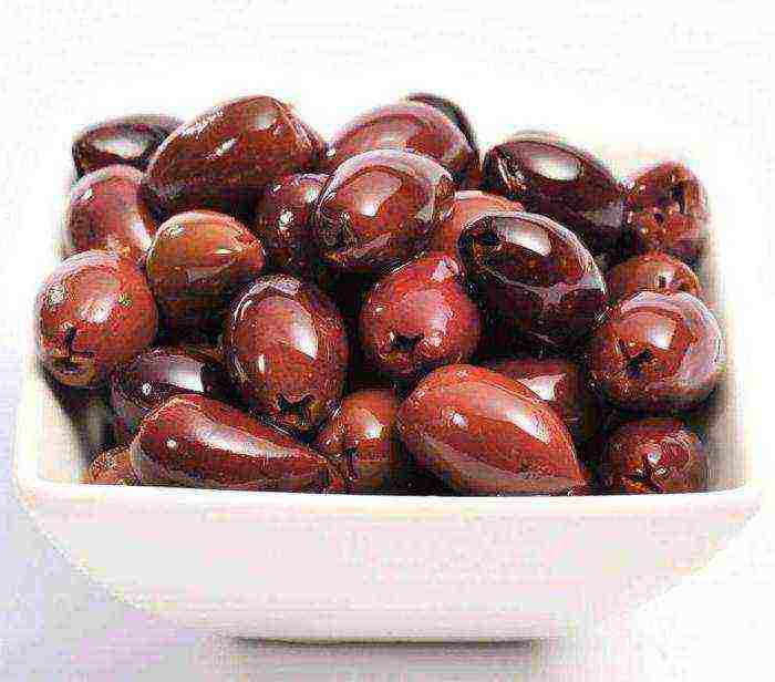 the best varieties of Greek olives