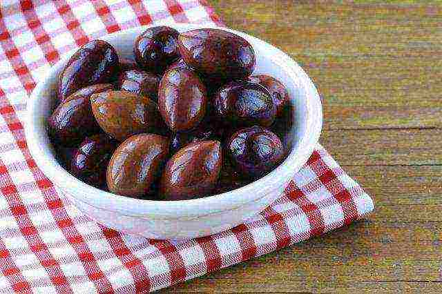 the best varieties of Greek olives