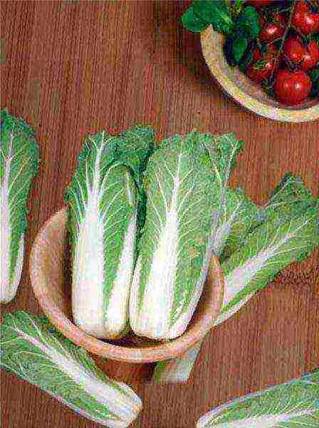 the best varieties of Peking cabbage