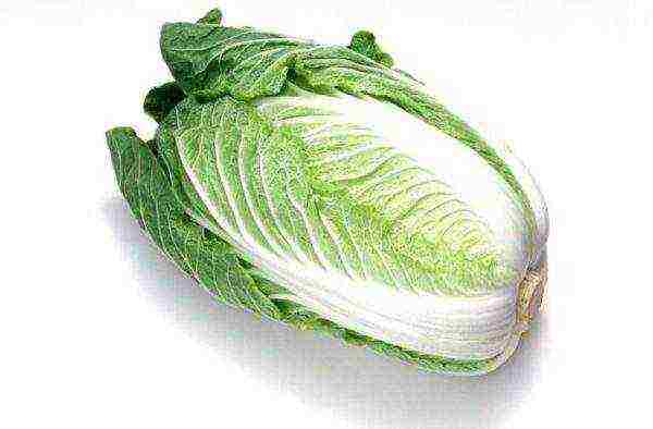 the best varieties of Peking cabbage