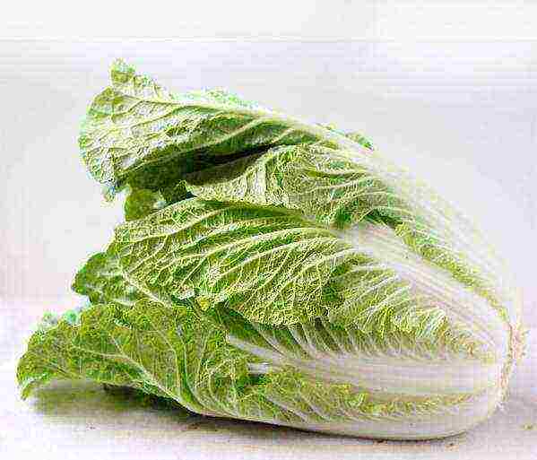 the best varieties of Peking cabbage