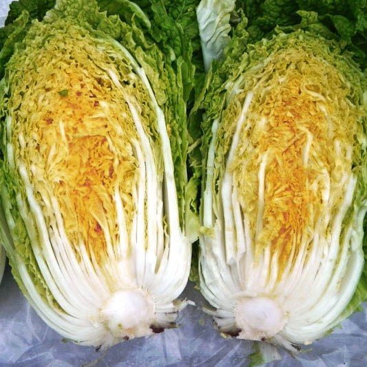 the best varieties of Peking cabbage