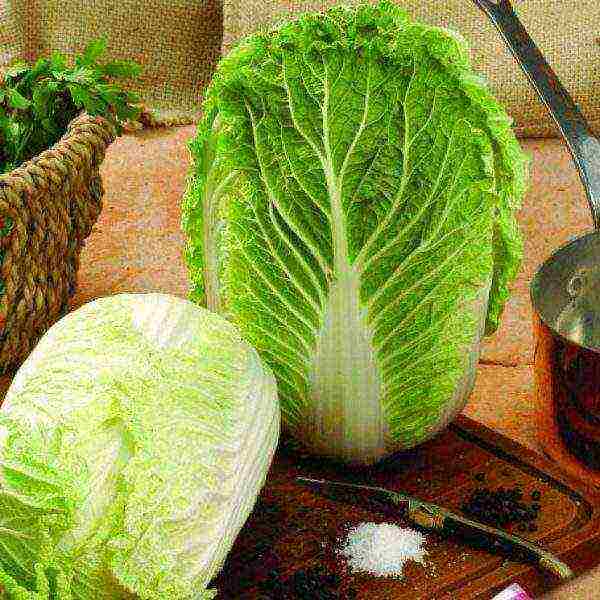 the best varieties of Peking cabbage