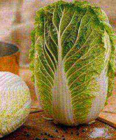 the best varieties of Peking cabbage