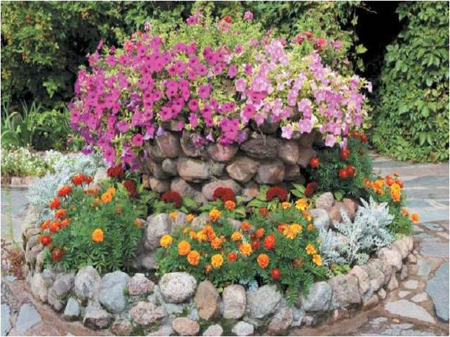 the best varieties of cascading petunias