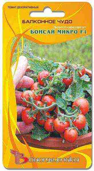 the best varieties of indoor tomatoes