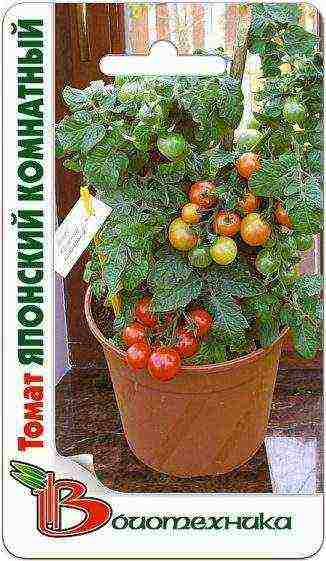 the best varieties of indoor tomatoes