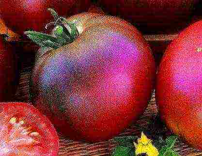 the best varieties of brown tomatoes