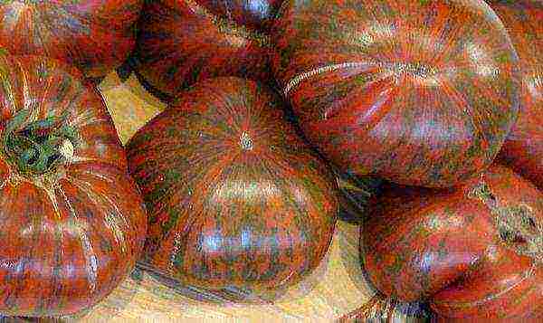 the best varieties of brown tomatoes