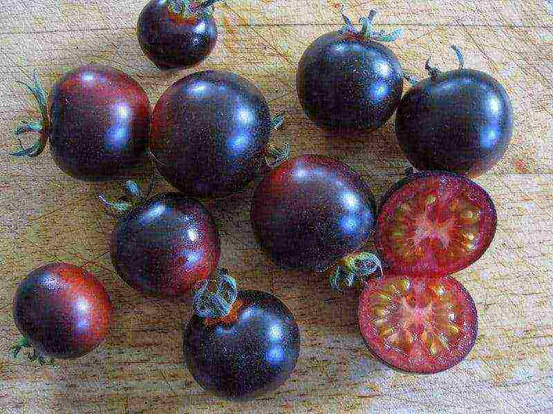 the best varieties of brown tomatoes