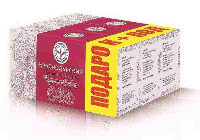 the best varieties of Krasnodar tea