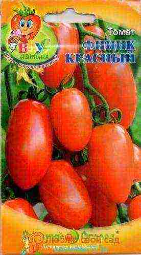the best varieties of large tomatoes