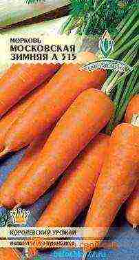 the best varieties of early carrots