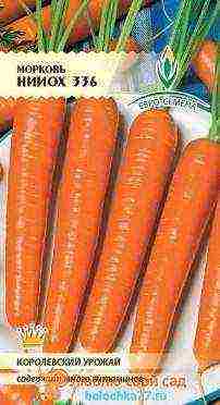 the best varieties of early carrots