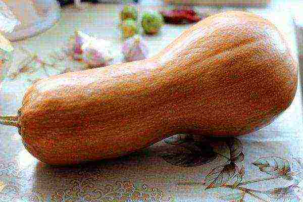 the best varieties of butternut squash