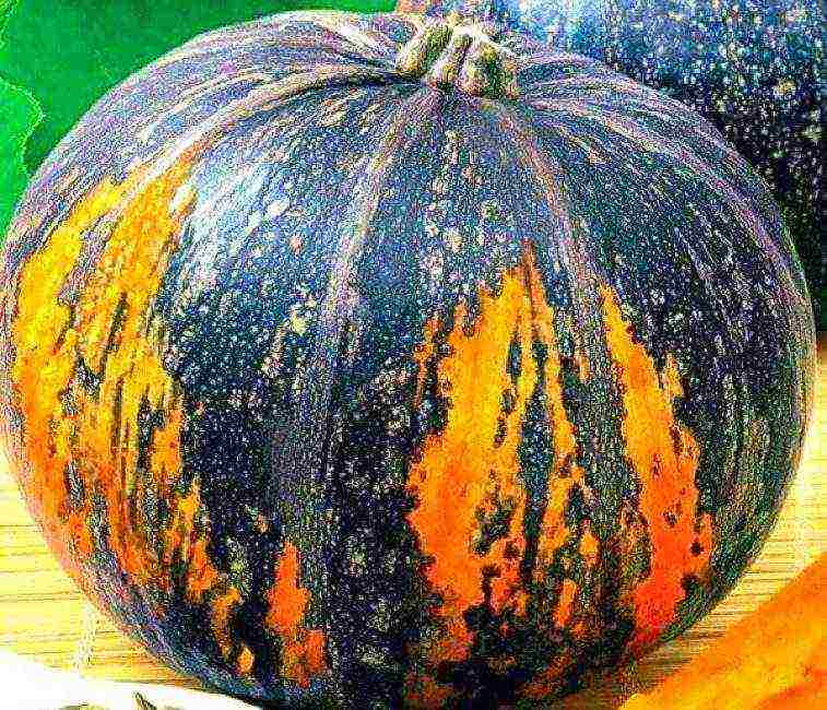 ang pinakamahusay na pagkakaiba-iba ng butternut squash