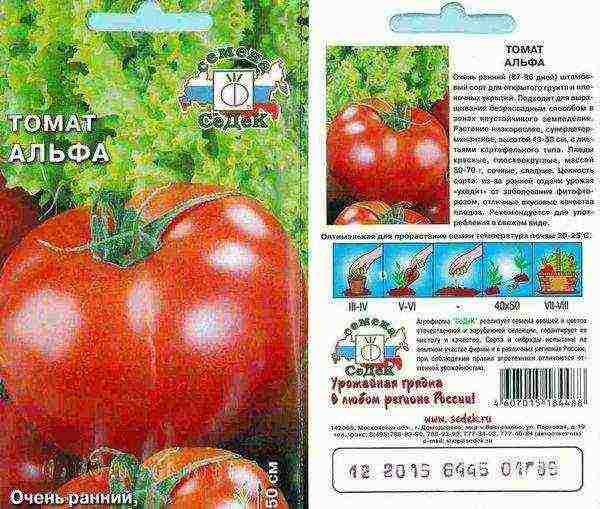 the best varieties of unsaturated tomatoes