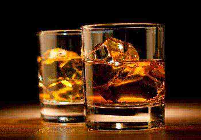 the best single malt whiskeys