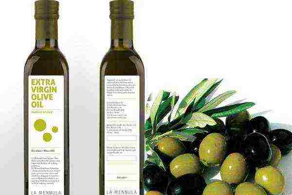 the best varieties of olive oils