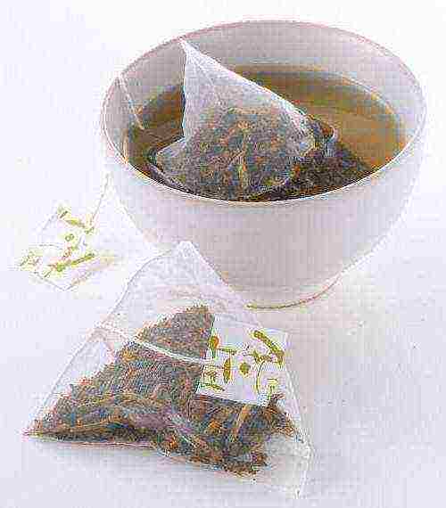 the best varieties of tea bags