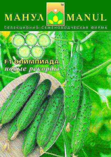 the best varieties of bee-pollinated cucumbers