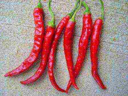 the best varieties of chili peppers