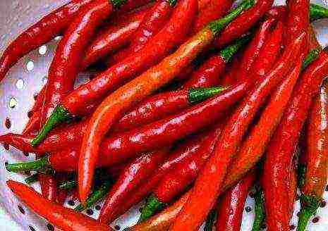 the best varieties of semi-hot peppers