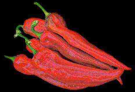 ang pinakamahusay na mga pagkakaiba-iba ng semi-hot peppers